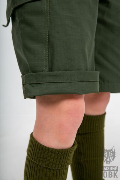 , M